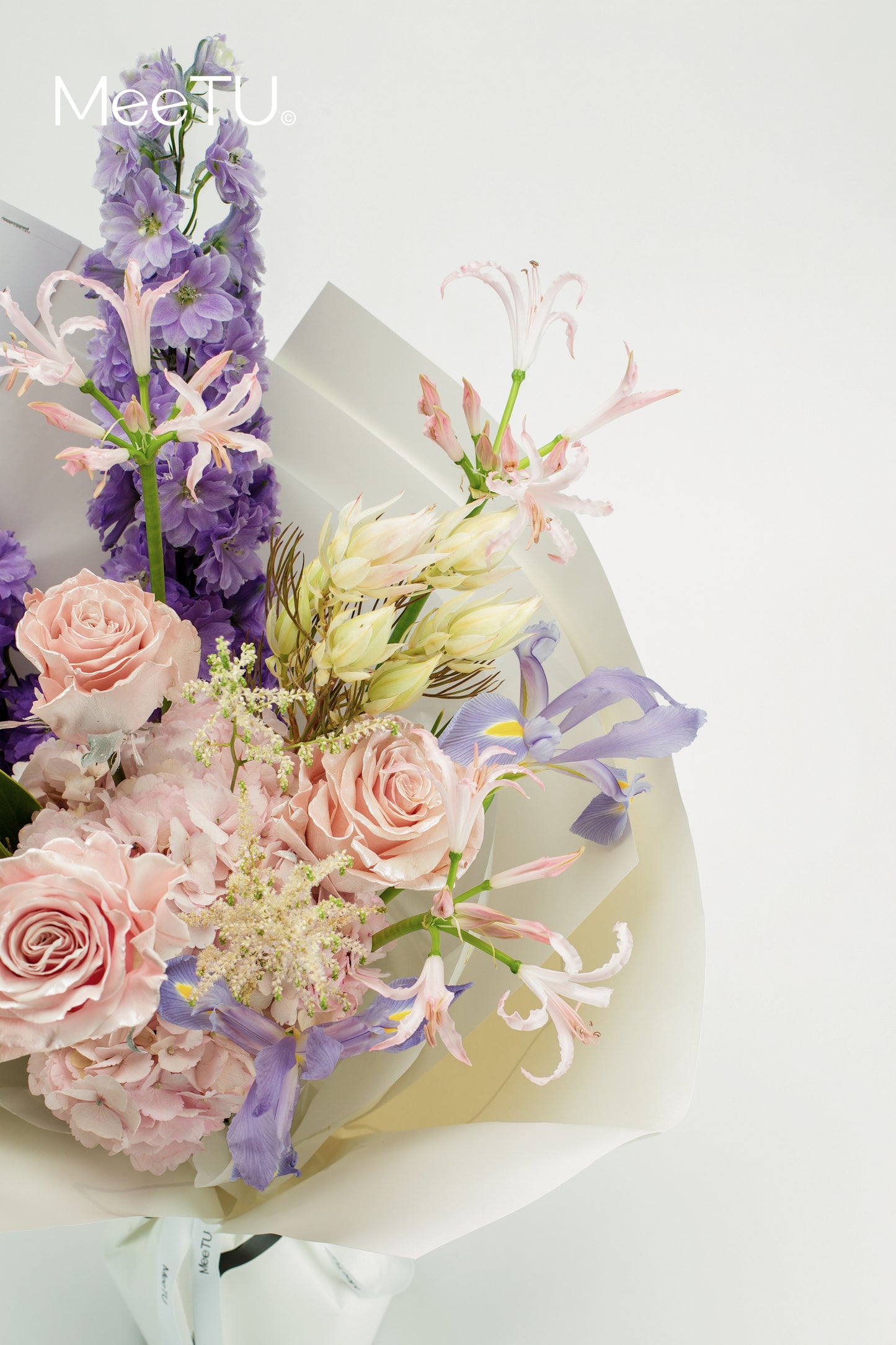 Blush Lilac