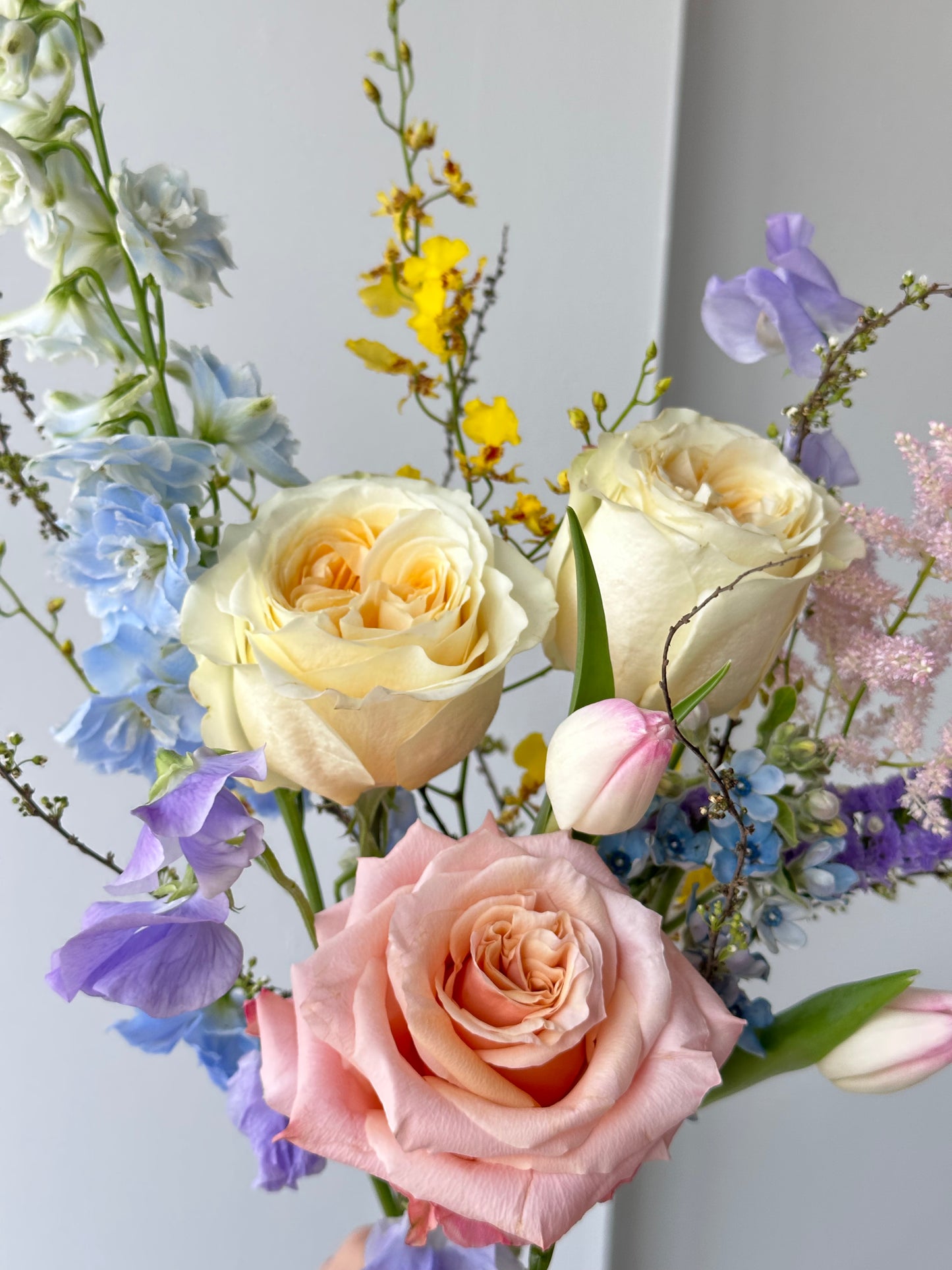 Dopamine Bloom｜Color Therapy