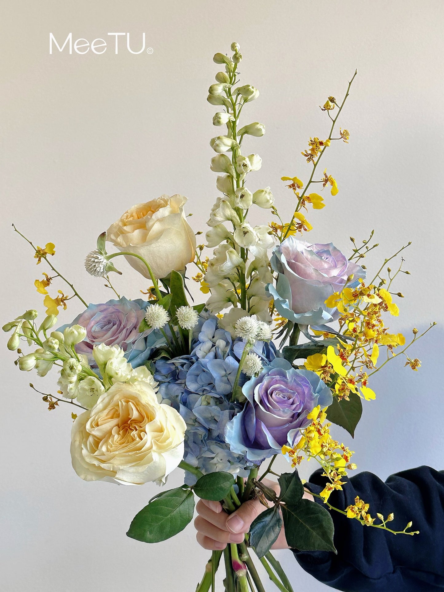 Dopamine Bloom｜Color Therapy