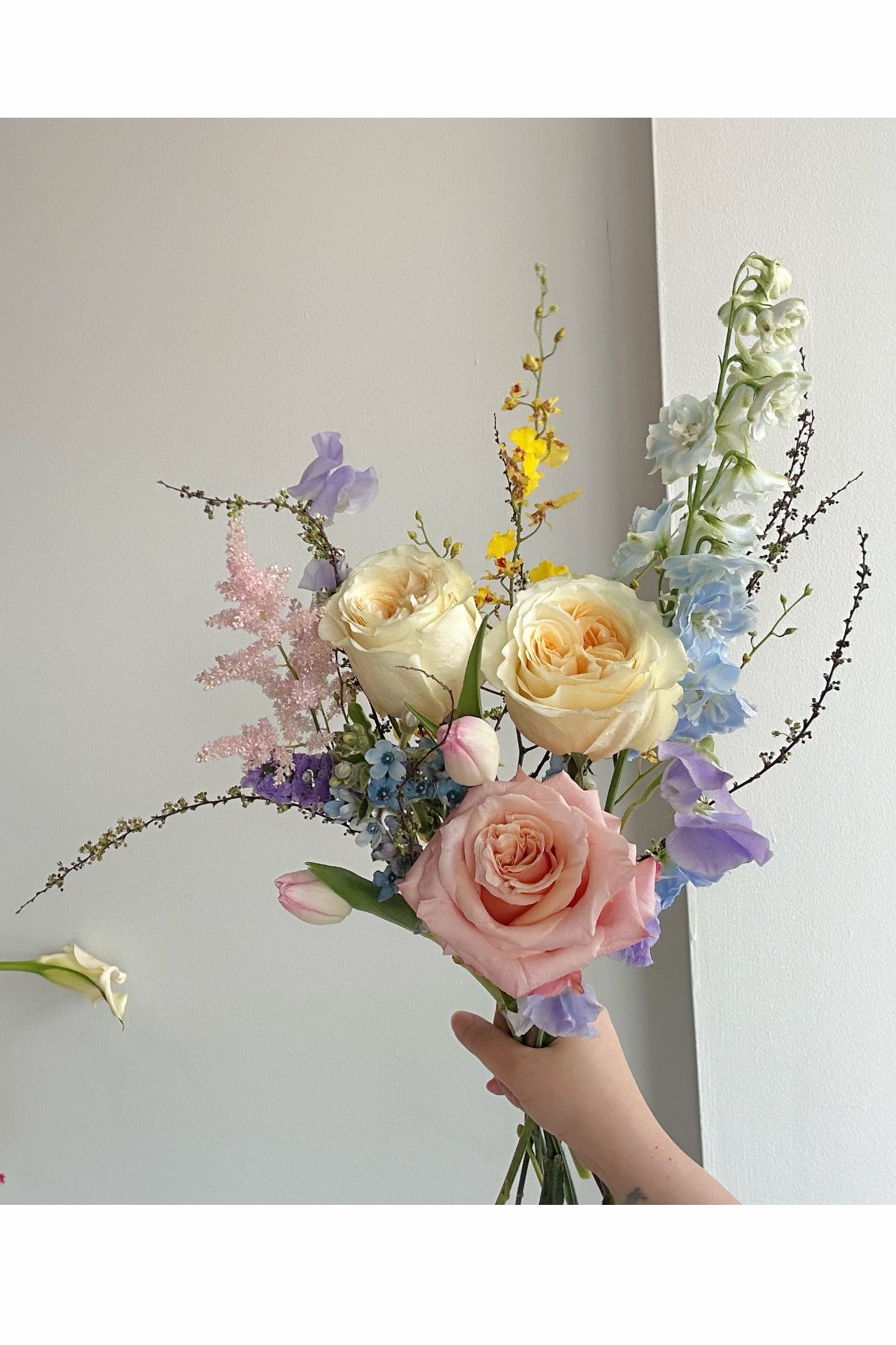 Dopamine Bloom｜Color Therapy